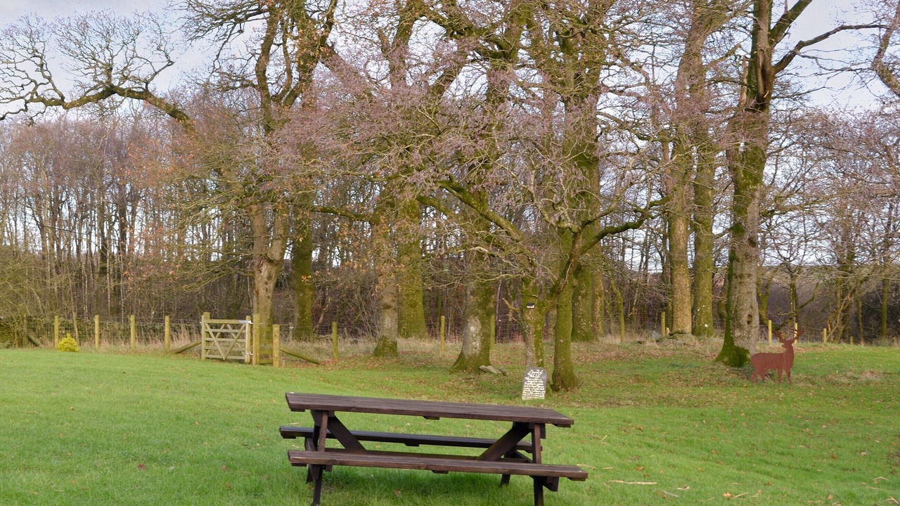 Photo of Outdoor in Castle Douglas