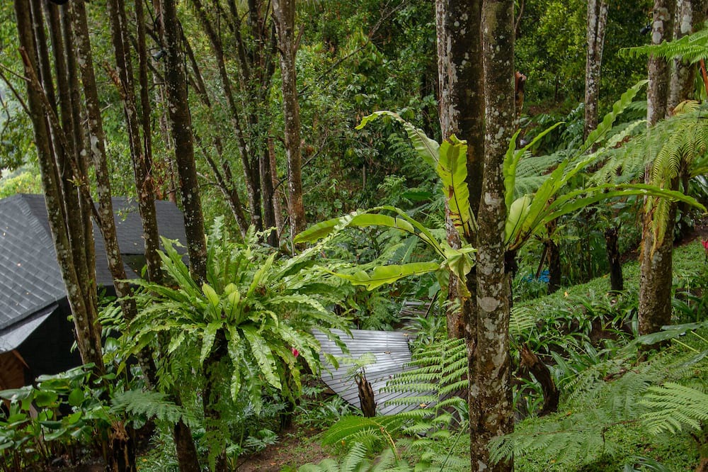 Photo of Outdoor in Klungkung