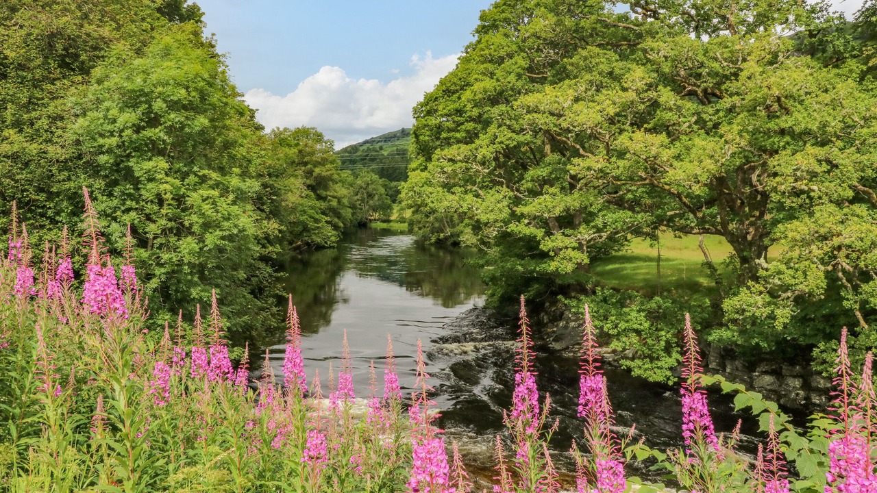 Photo of Outdoor in Killin