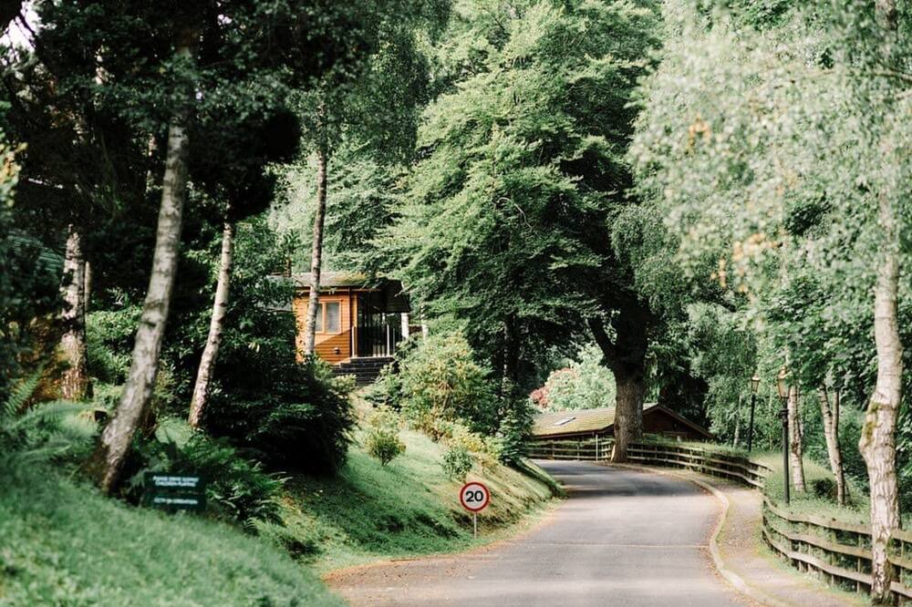 Photo of Others in Birnam