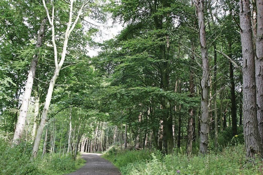 Photo of Others in Dunbar