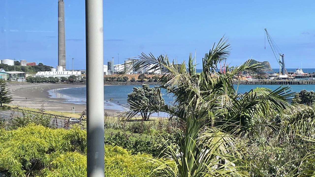 Photo of Others in New Plymouth