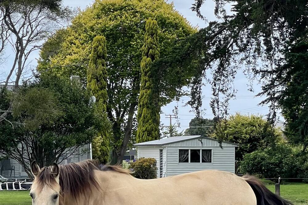 Photo of Outdoor in Tolaga Bay
