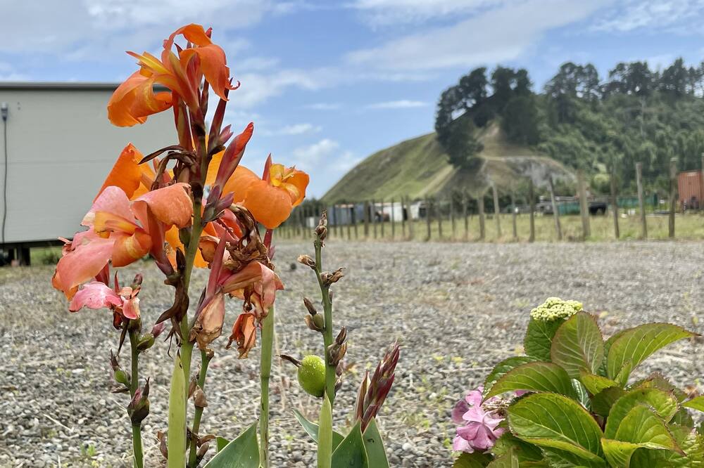 Photo of Outdoor in Tolaga Bay