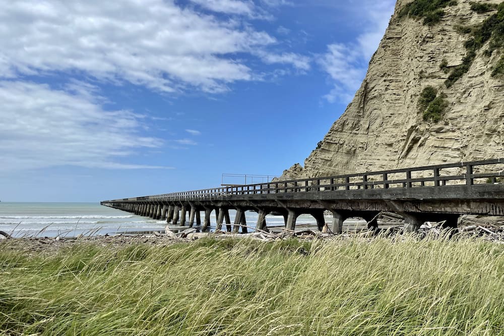 Photo of Outdoor in Tolaga Bay