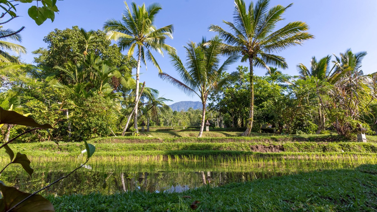 Photo of Outdoor in Wongaya Gede