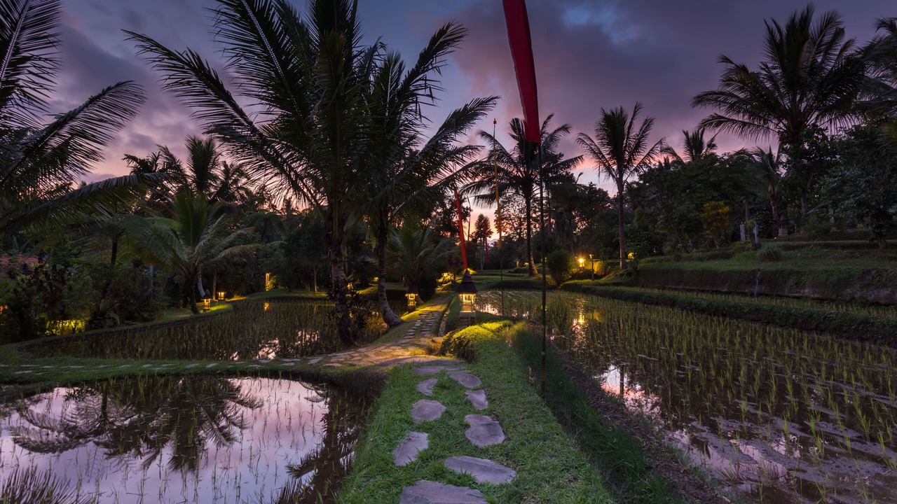 Photo of Outdoor in Wongaya Gede