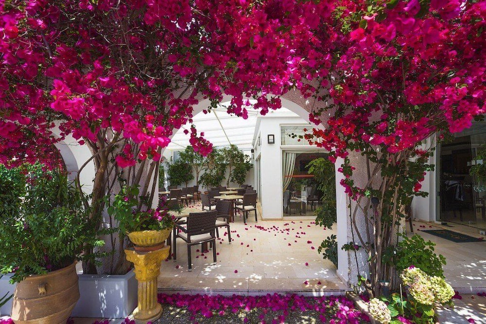 Photo of Outdoor in Omonia