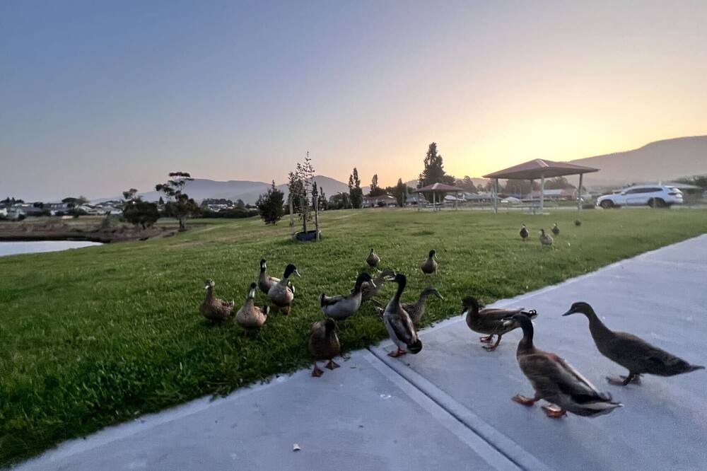 Photo of Outdoor in Austins Ferry