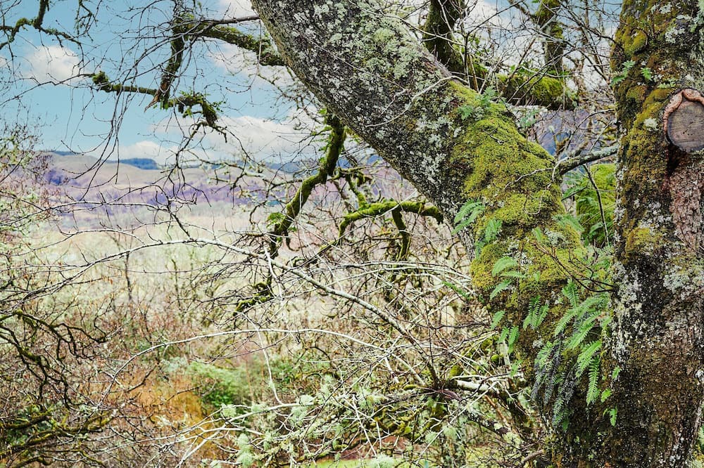 Photo of Outdoor in Lochgilphead