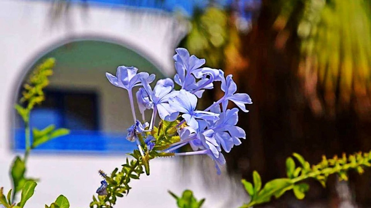 Photo of Outdoor in Tilos