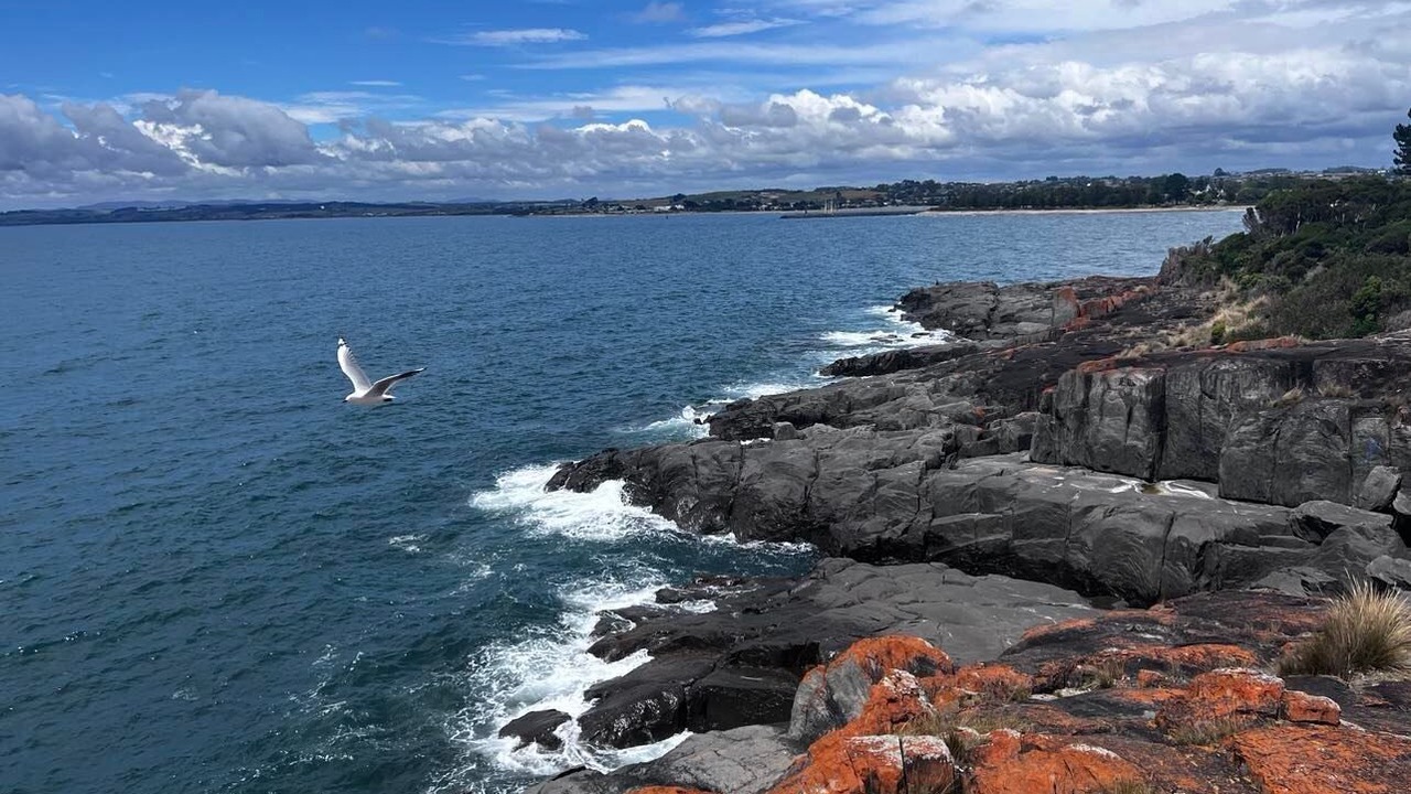 Photo of Others in Devonport