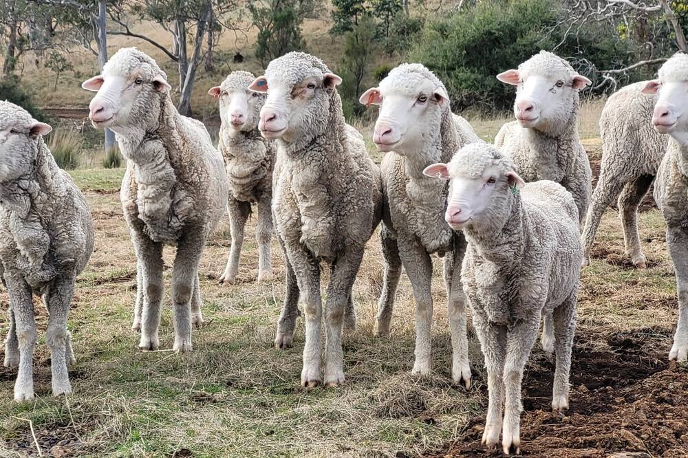 Photo of Others in Kempton