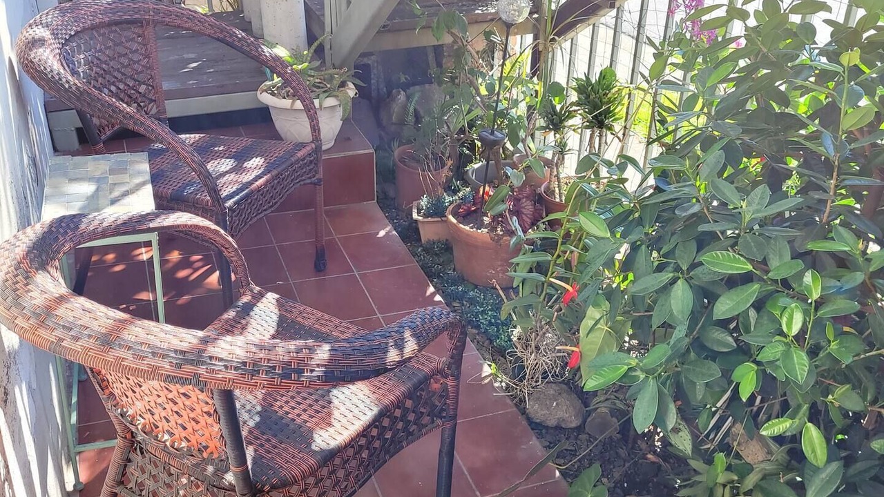 Photo of Outdoor in La Guaria