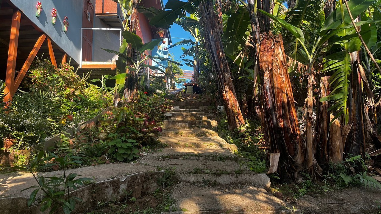 Photo of Outdoor in Roble