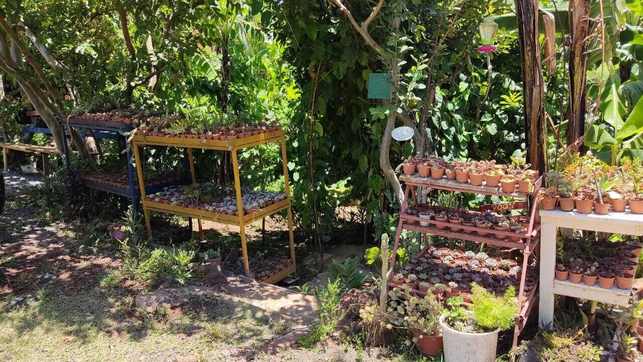 Photo of Outdoor in Roble