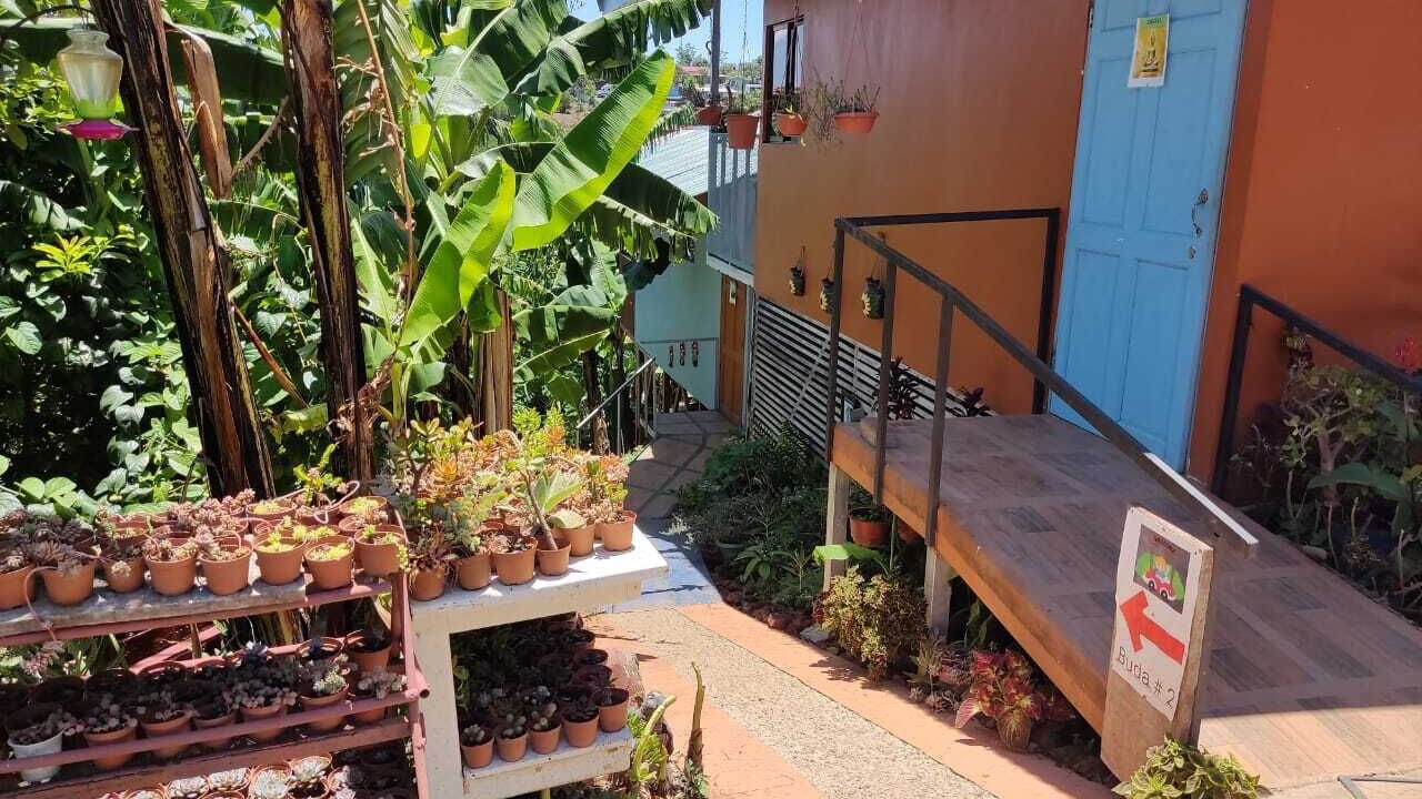 Photo of Outdoor in Roble
