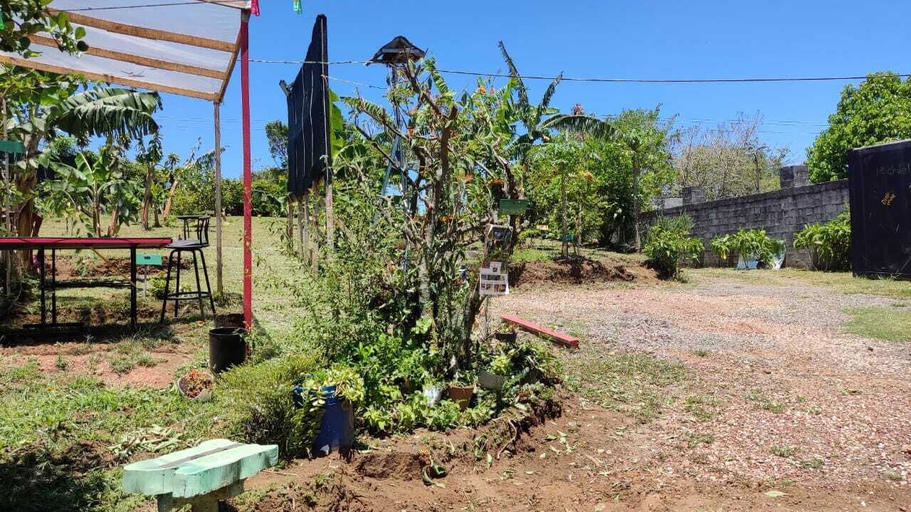 Photo of Outdoor in Roble