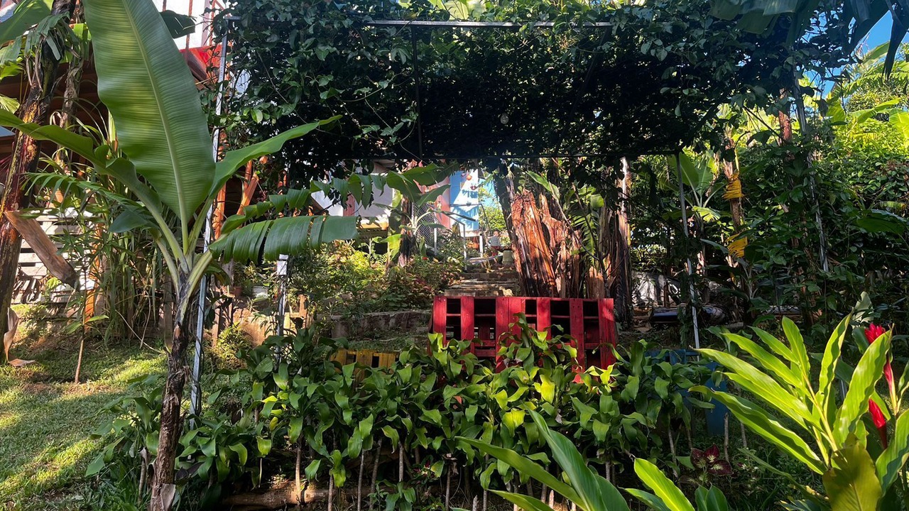Photo of Outdoor in Roble