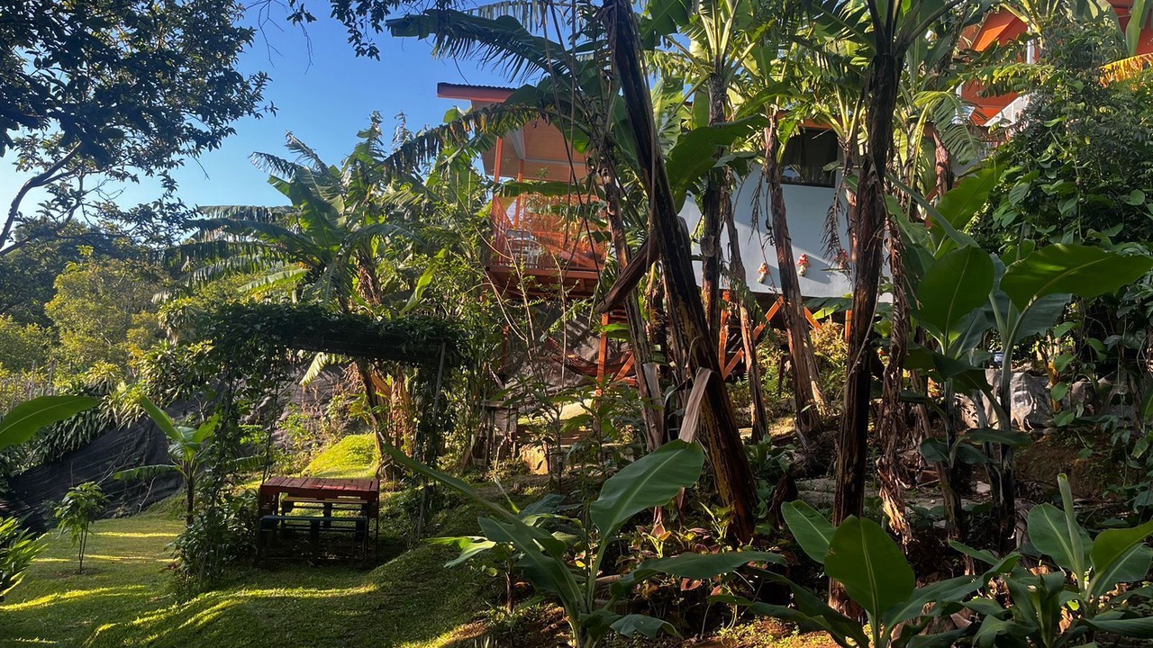 Photo of Outdoor in Roble