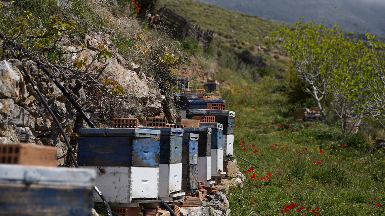Photo of Outdoor in Mirthios