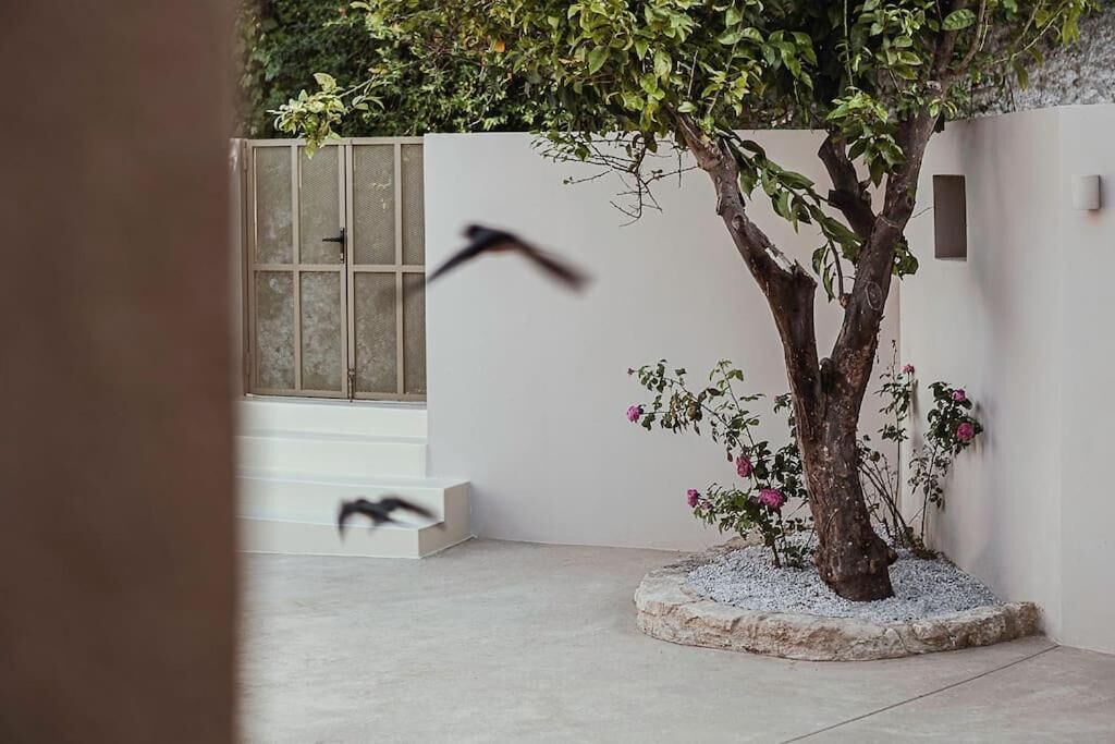 Photo of Outdoor in Amari