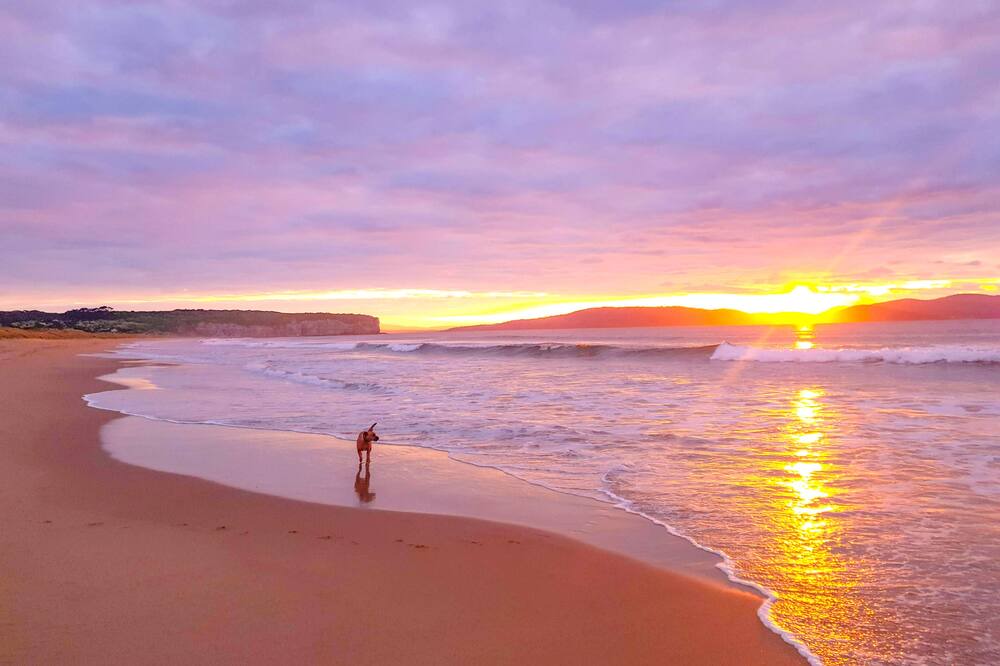Photo of Others in Clifton Beach