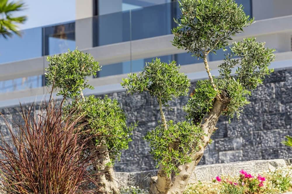 Photo of Outdoor in Heraklion