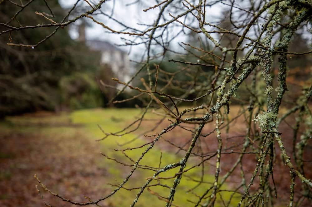 Photo of Outdoor in Kemnay