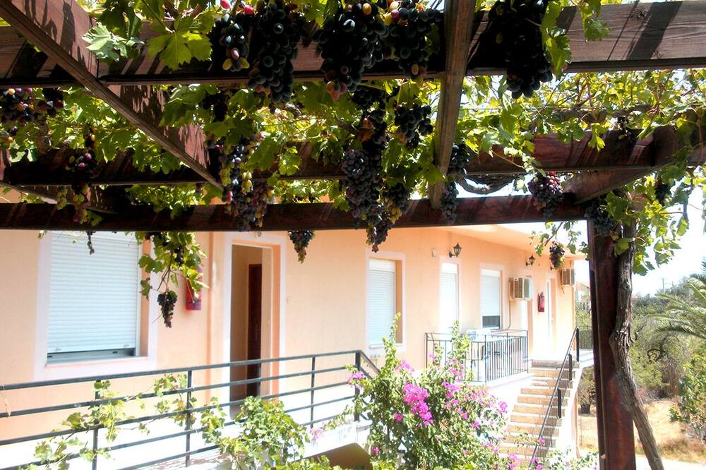 Photo of Outdoor in Sougia