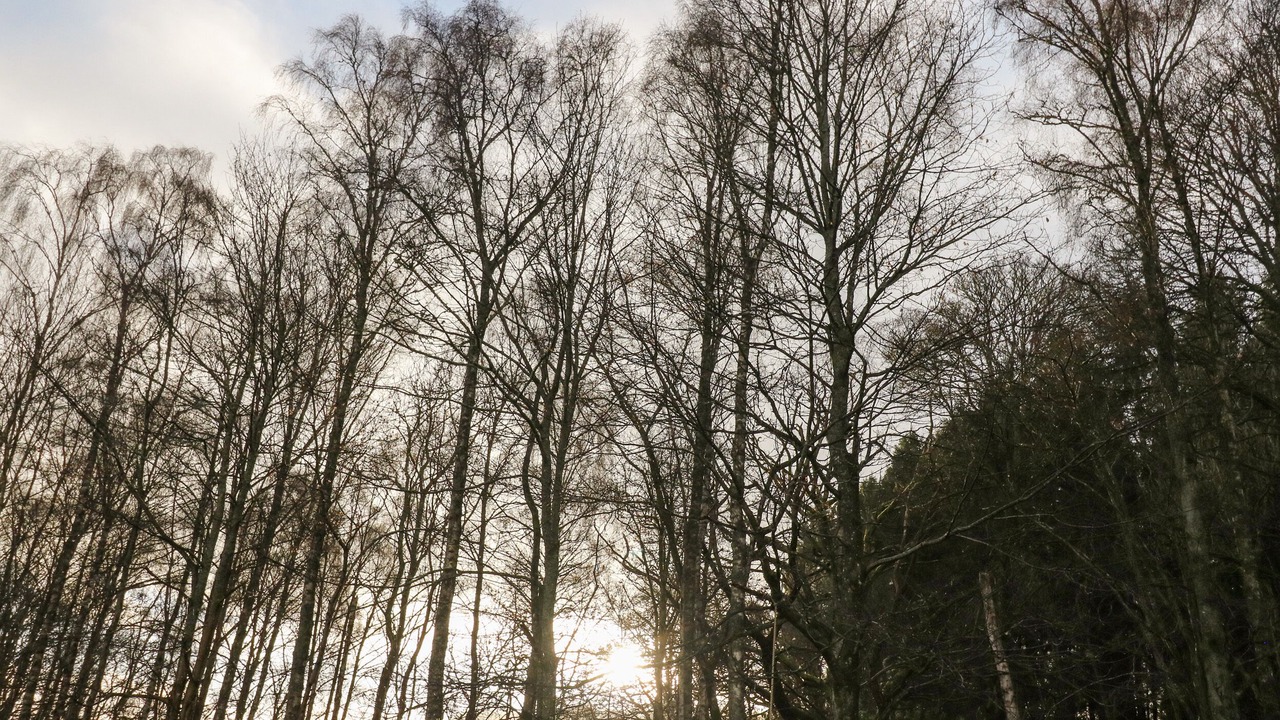 Photo of Others in Pitlochry
