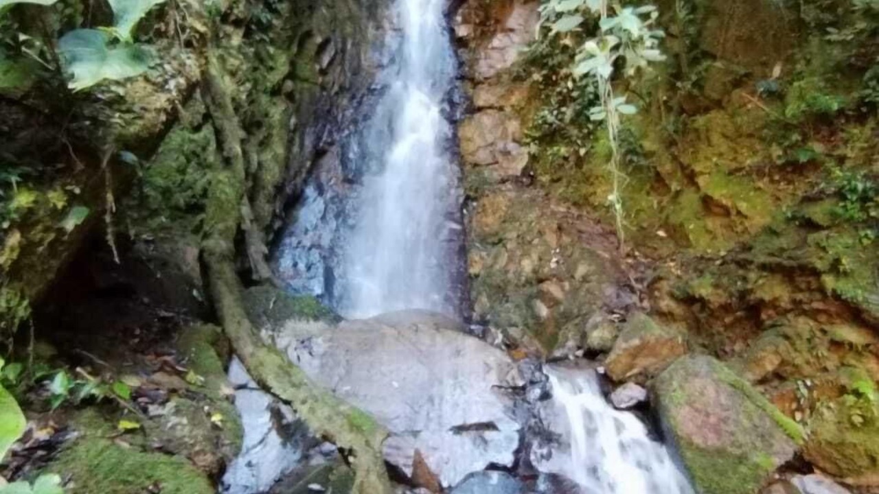 Photo of Outdoor in Rivas