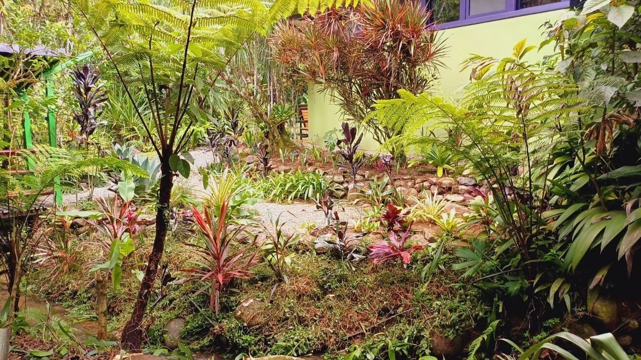 Photo of Outdoor in Rivas