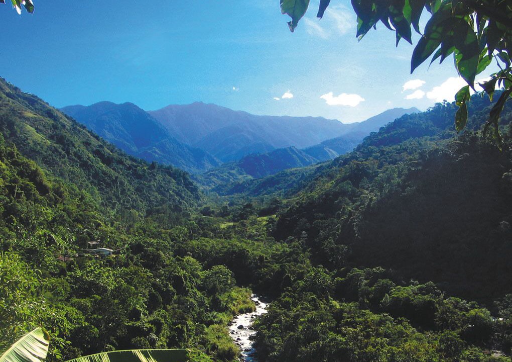 Photo of Outdoor in Rivas