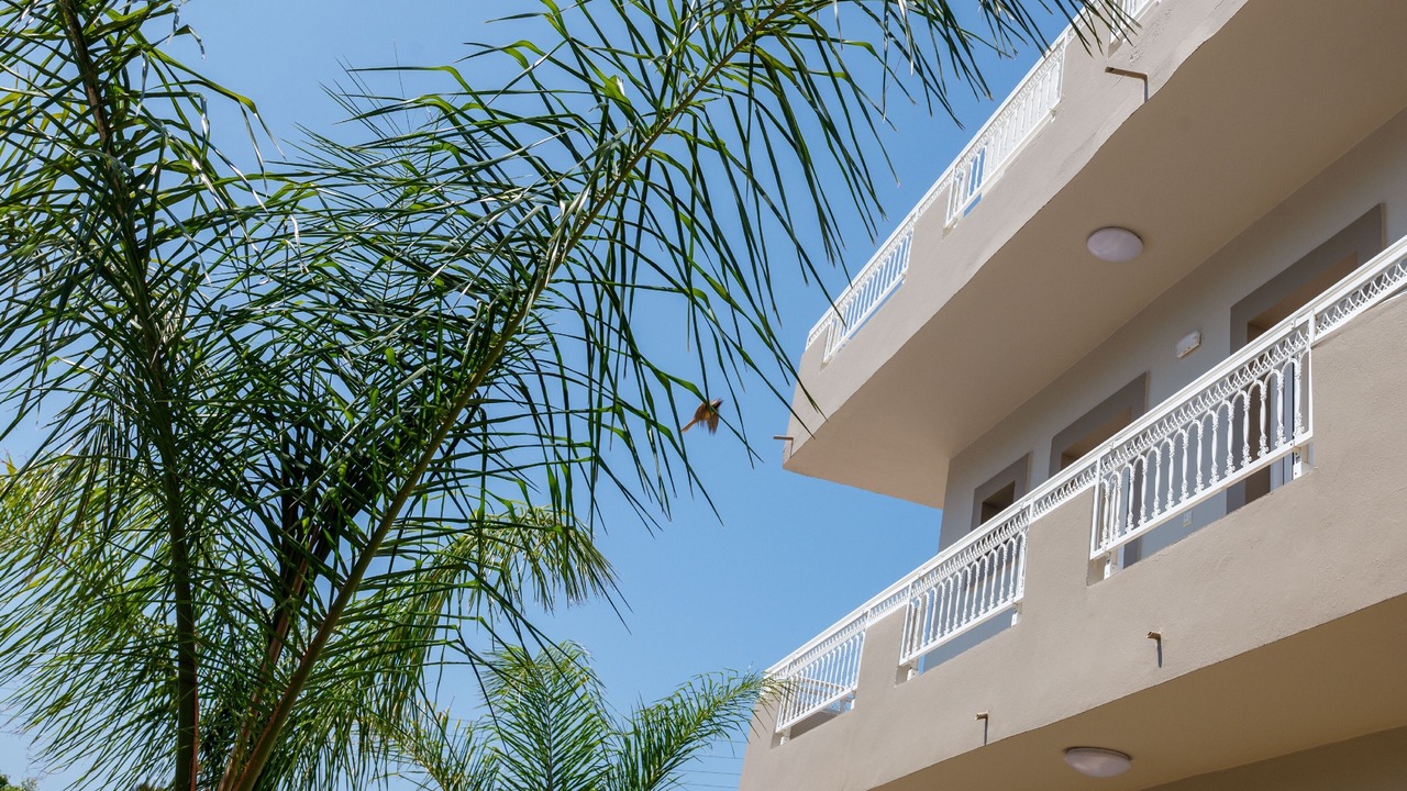 Photo of Outdoor in Malia
