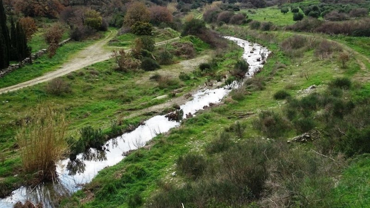 Photo of Outdoor in Paleopolis