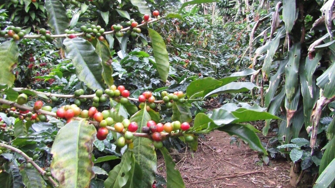 Photo of Outdoor in Valle Azul