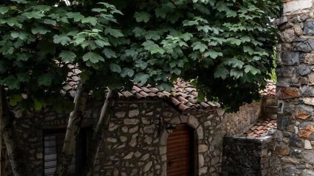 Photo of Outdoor in Trikolonoi