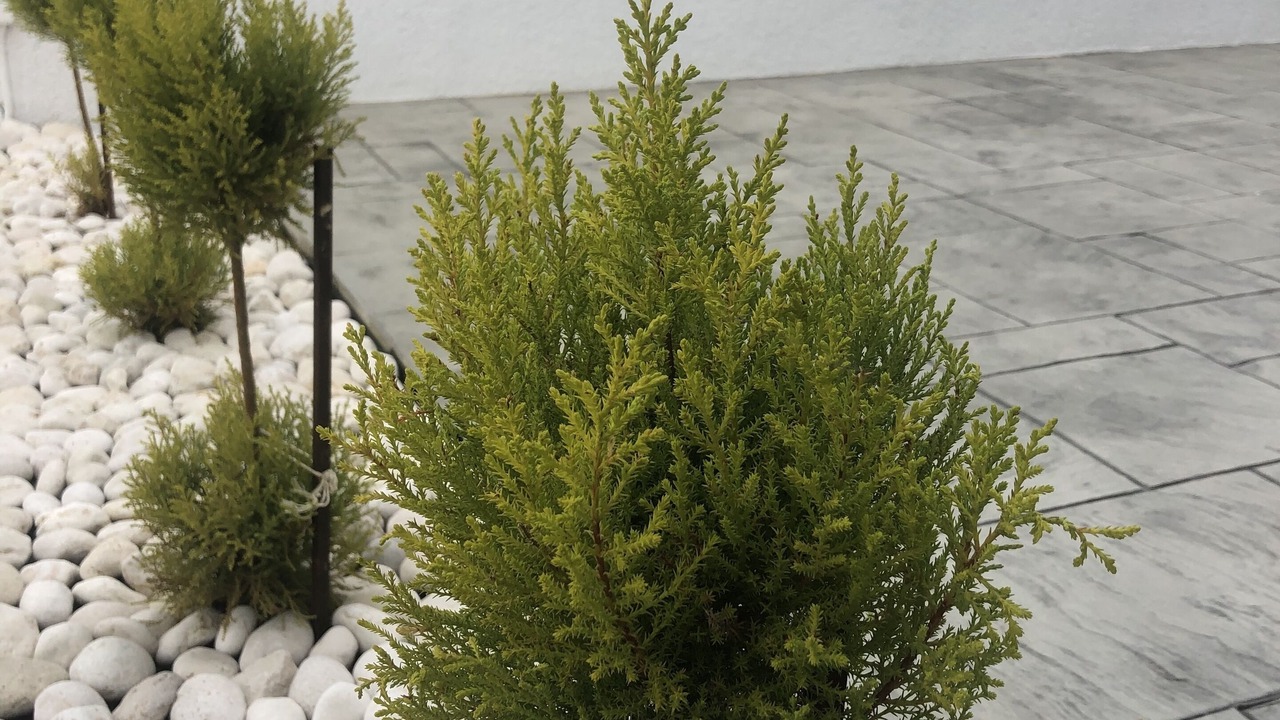 Photo of Outdoor in Poros