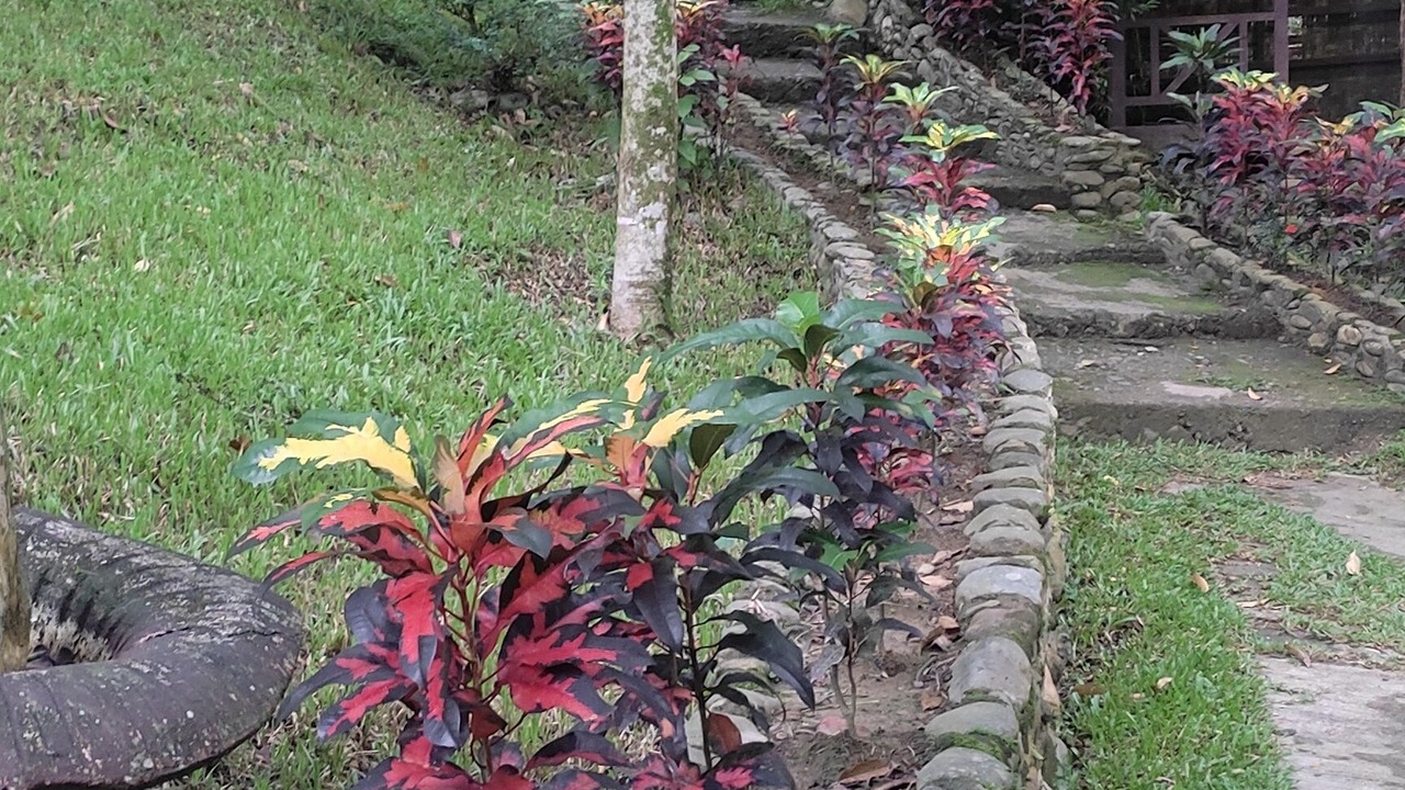 Photo of Outdoor in Bohorok