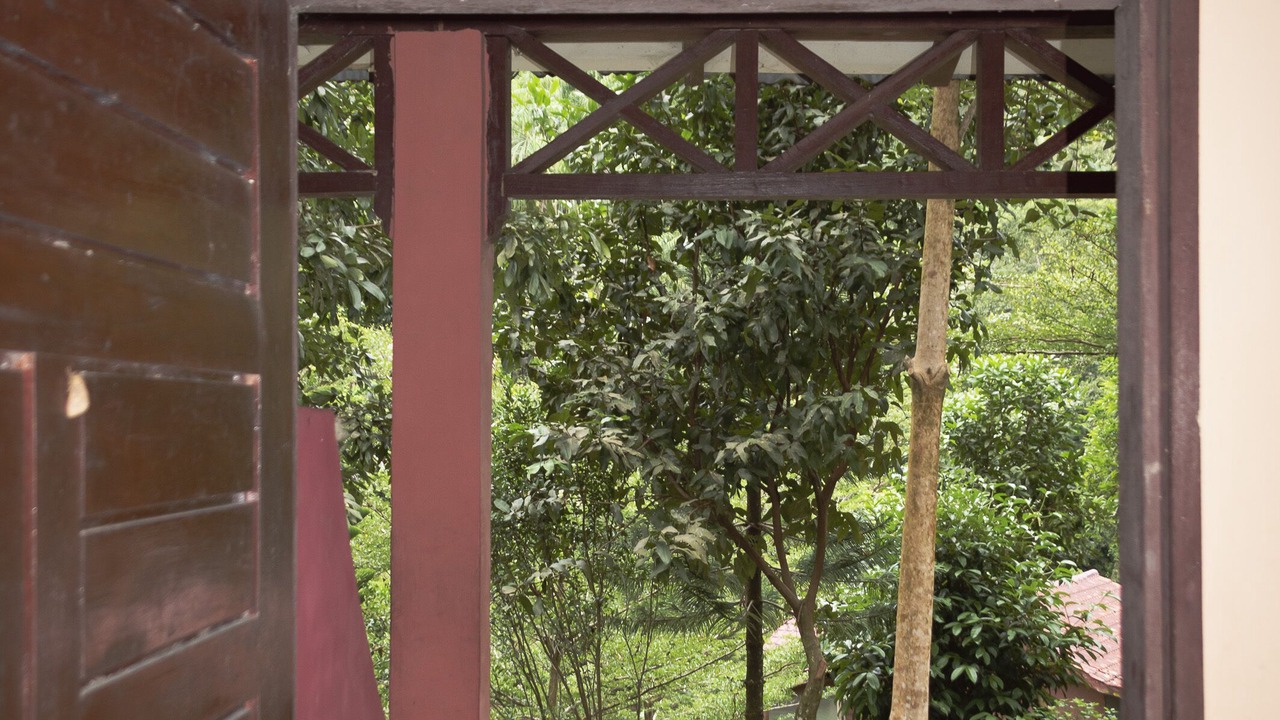 Photo of Outdoor in Bohorok