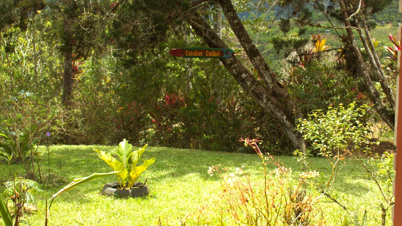 Photo of Outdoor in Tayutic