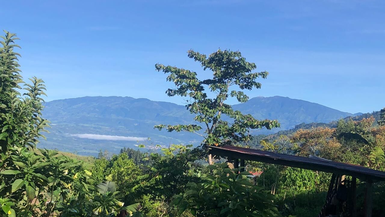 Photo of Outdoor in Tayutic