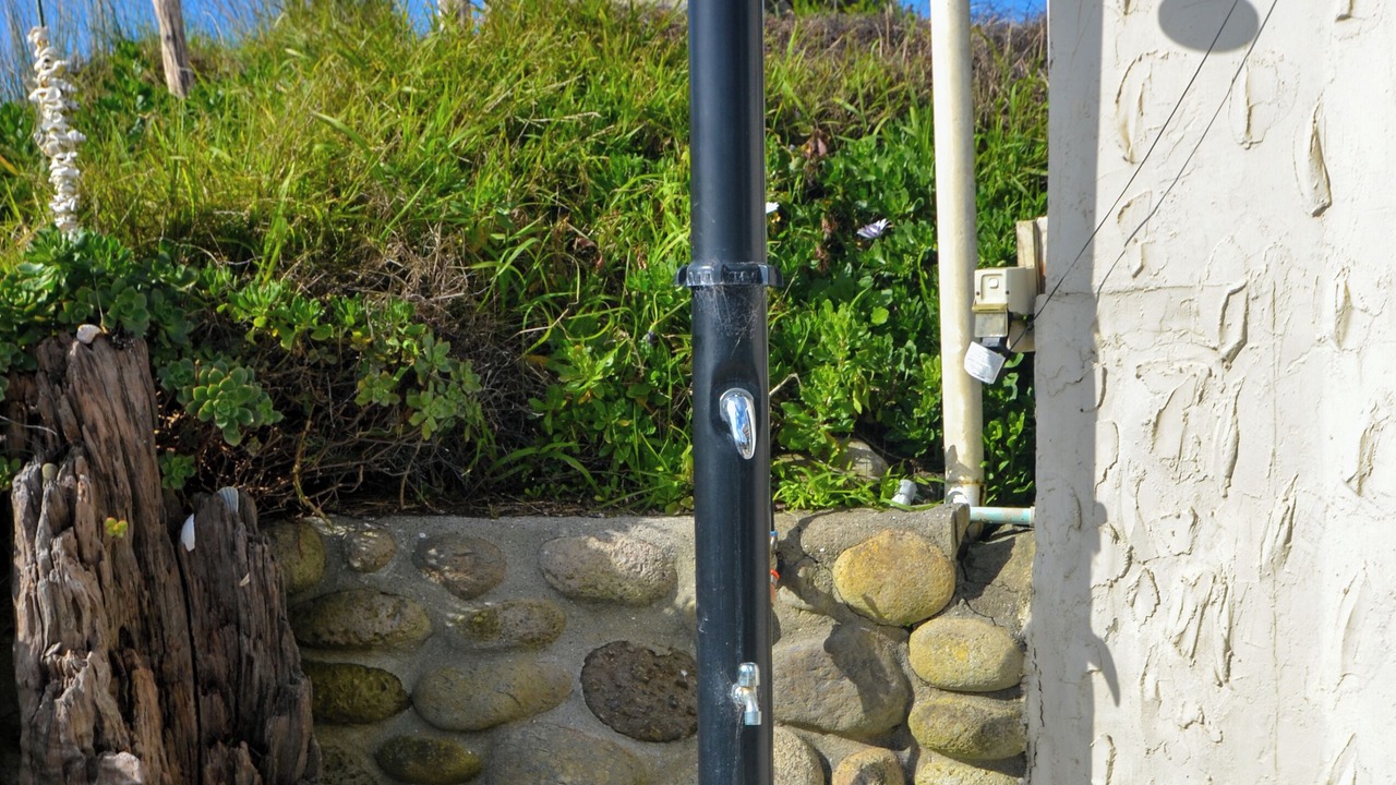 Photo of Outdoor in Pukehina