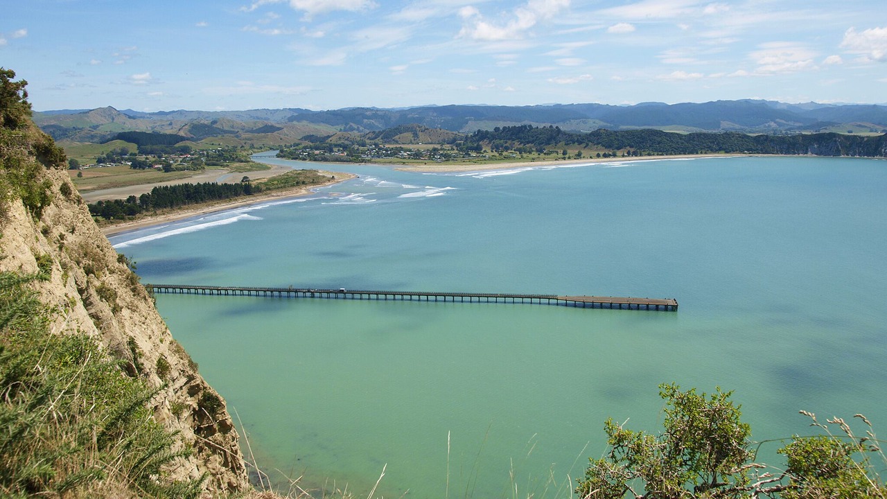 Photo of Others in Tolaga Bay