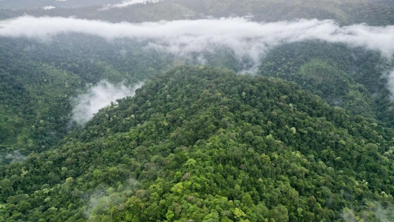 Photo of Outdoor in San Pablo