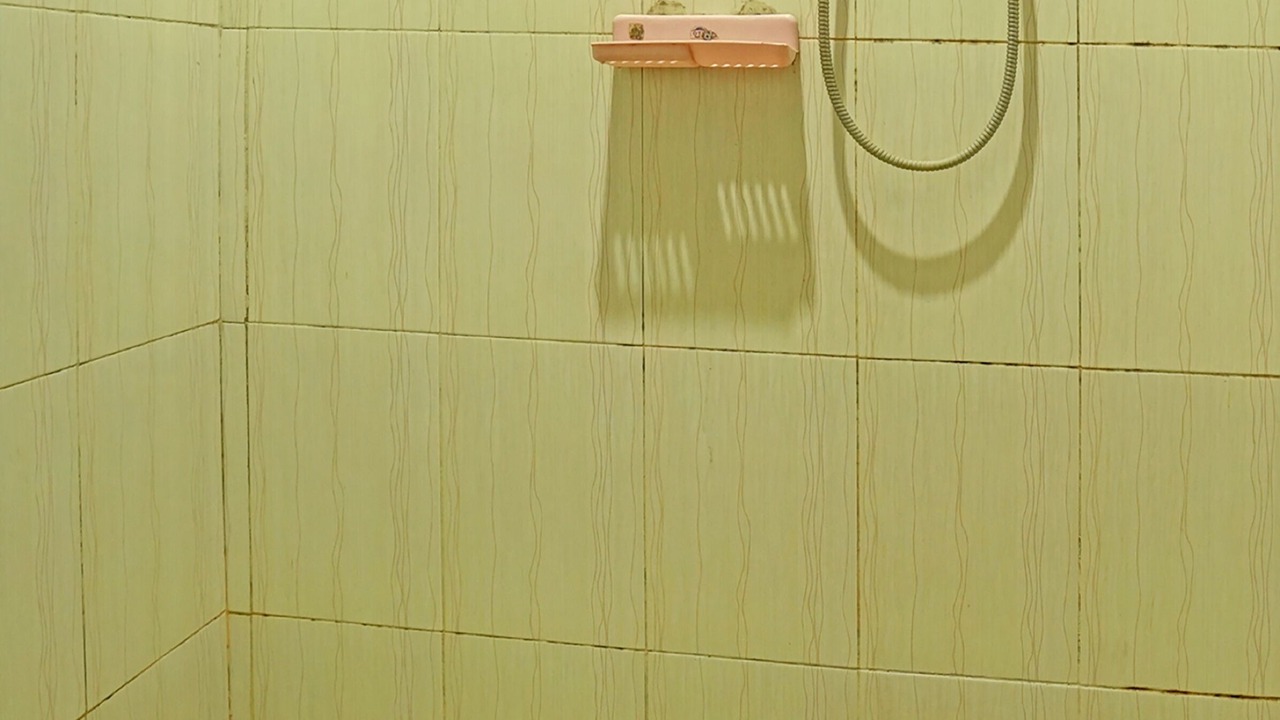 Photo of Bathroom in Pare