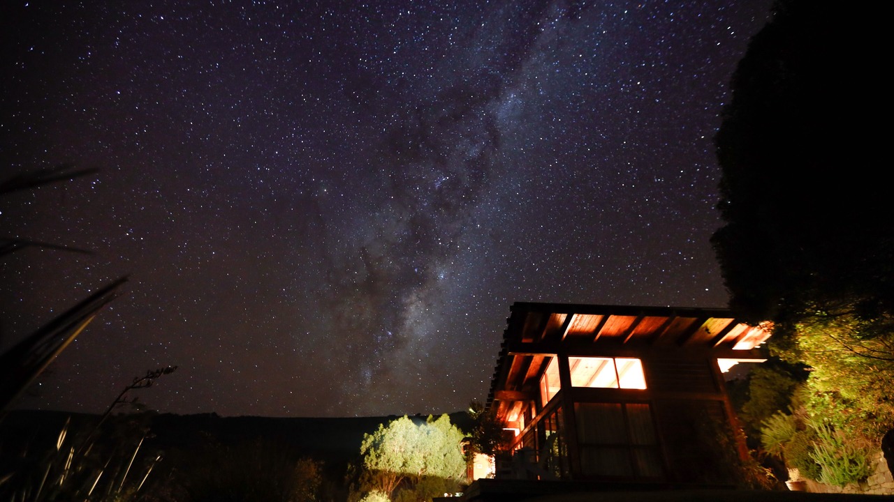 Photo of Outdoor in Cape Saunders