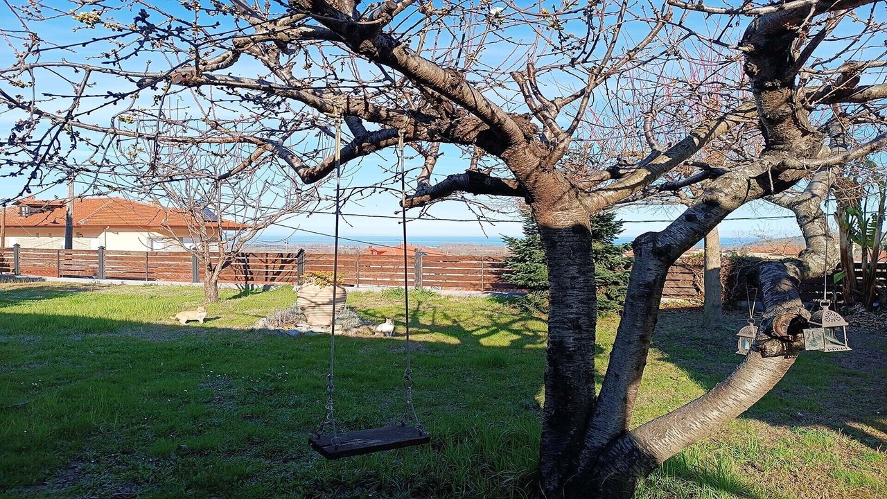 Photo of Outdoor in Skotina