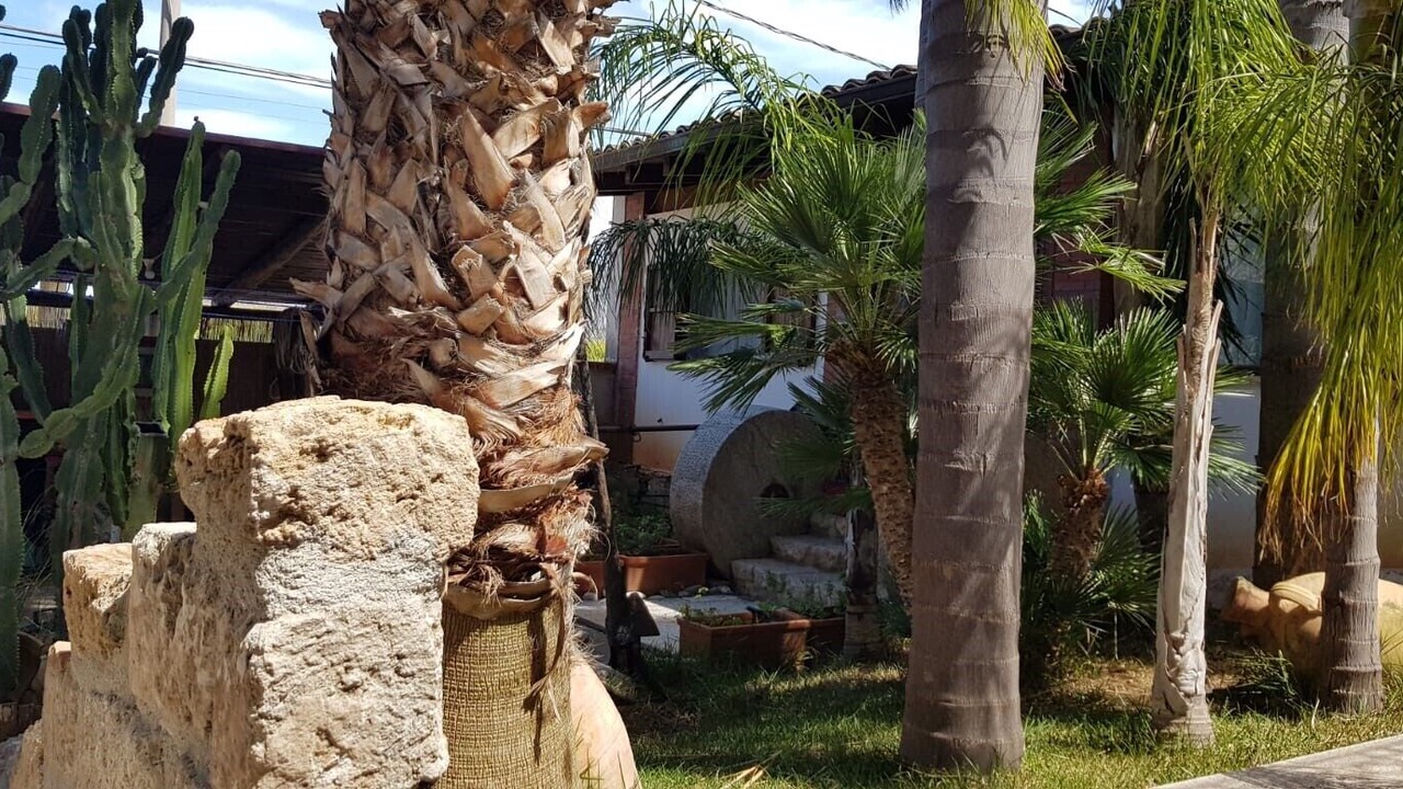 Photo of Outdoor in Partanna